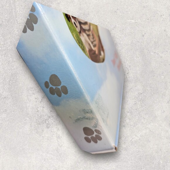 Screening copy of My Dog Skip VHS - Picture 6 of 7